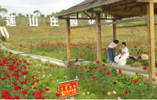 郴州蓮山莊園,郴州生態(tài)山莊,郴州原生態(tài)休閑農(nóng)業(yè)莊園,郴州鄉(xiāng)村旅游